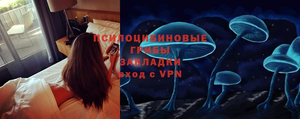 ALPHA PVP Богородицк