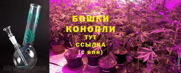 молекула духа Бронницы