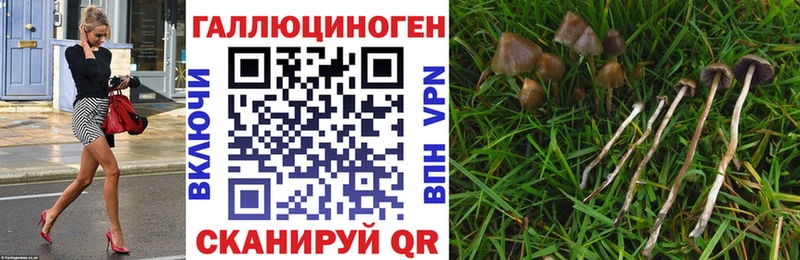 Галлюциногенные грибы GOLDEN TEACHER  blacksprut рабочий сайт  Бугуруслан 