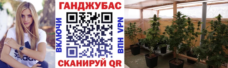 мориарти официальный сайт  Бугуруслан  Канабис сатива 